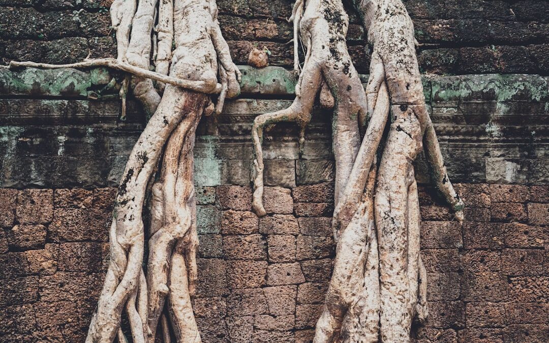 Descifrando los mitos antiguos sobre la naturaleza